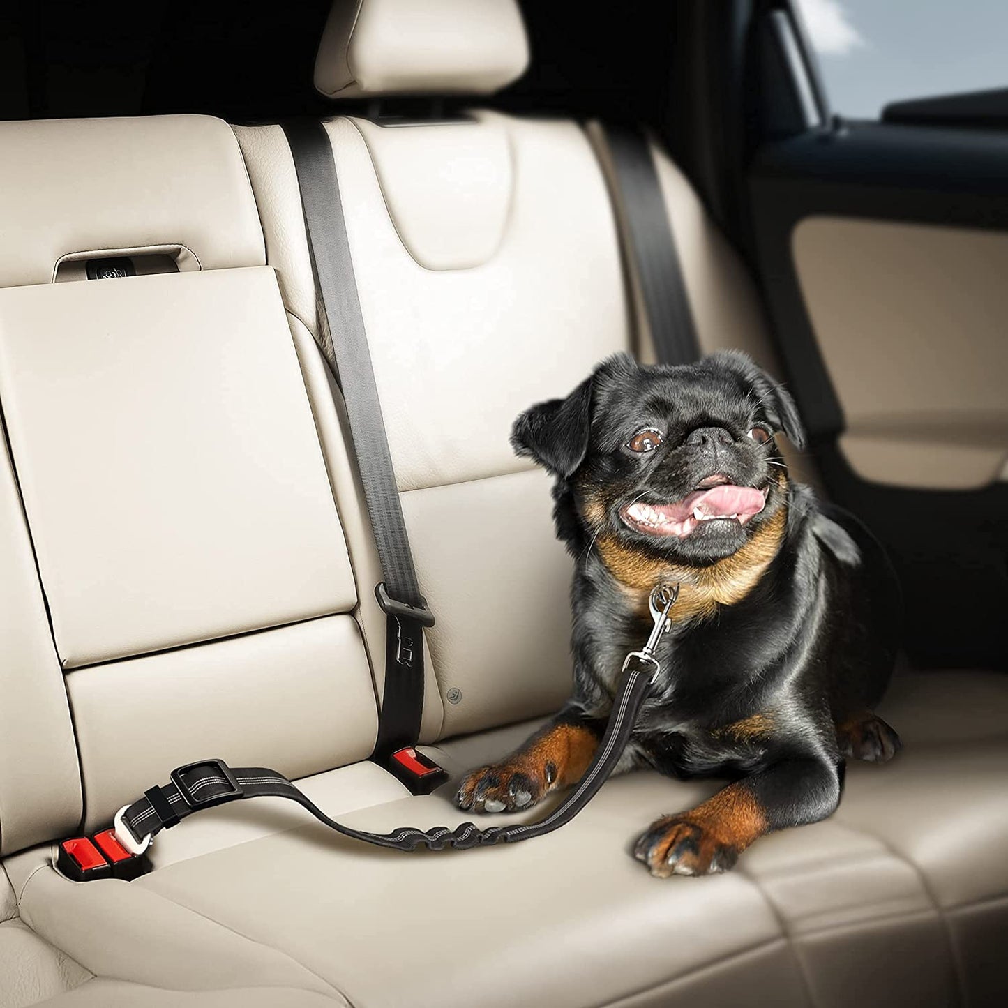 Adjustable Elastic Dog Seat Belt with Bungee Buffer | Car Travel Accessory (Black)