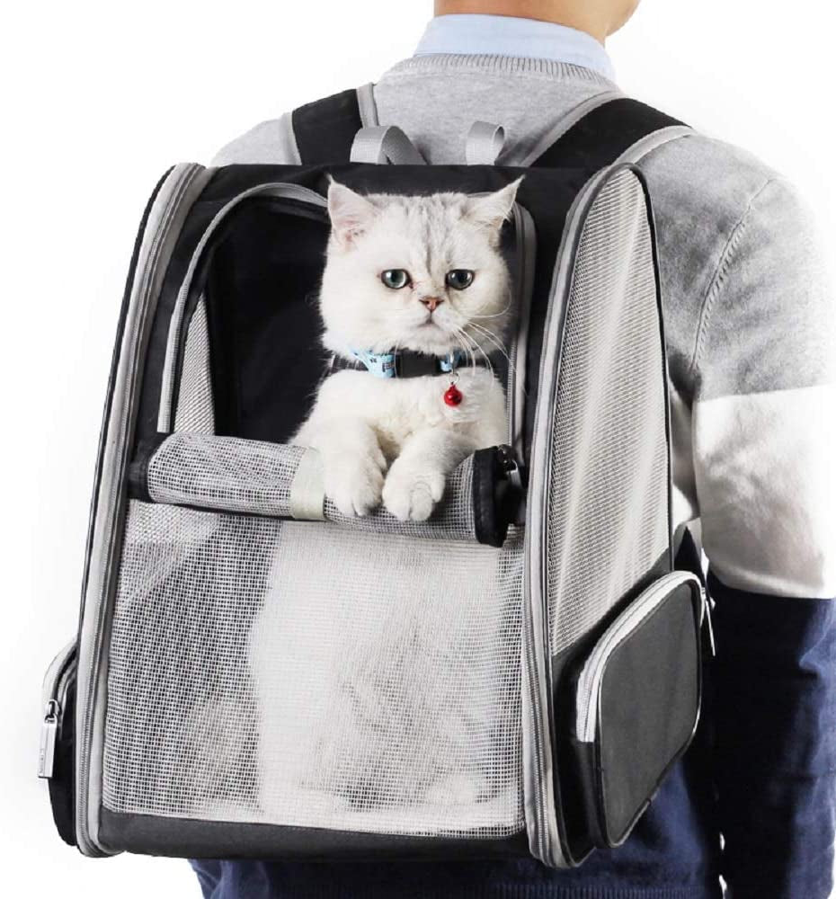 Premium Bubble Backpack Pet Carrier for Cats and Dogs - Black