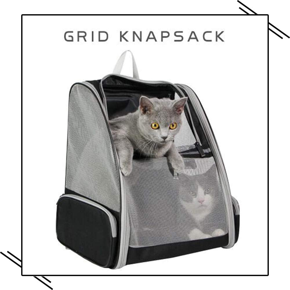 Premium Bubble Backpack Pet Carrier for Cats and Dogs - Black